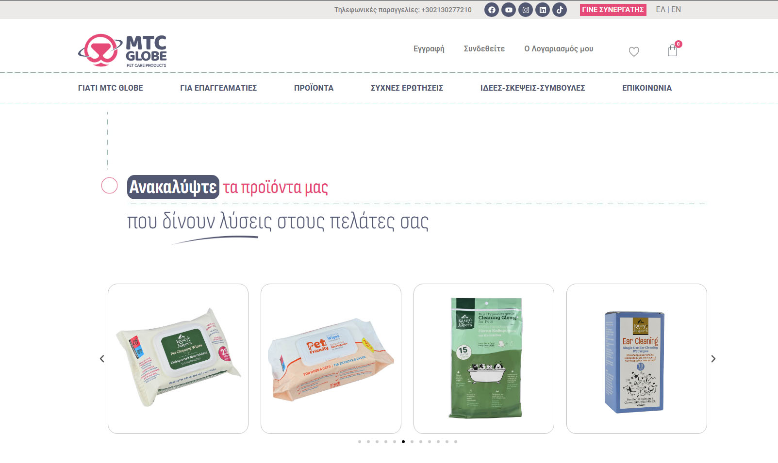 portfolio δημιουργια eshop