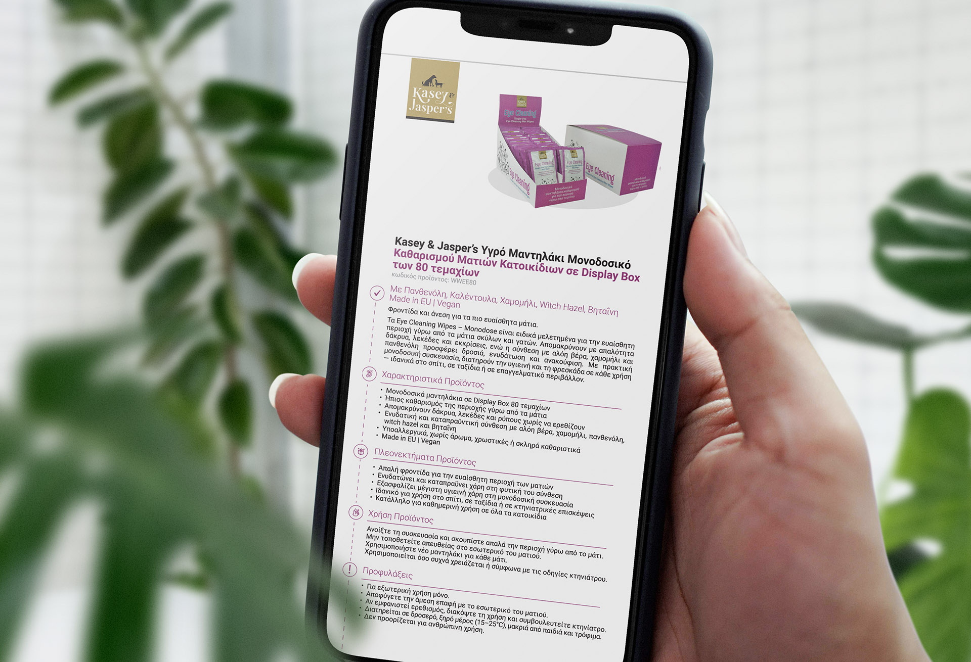 Cover and pages of the brochure